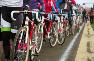 Photo by Clayton Moore.